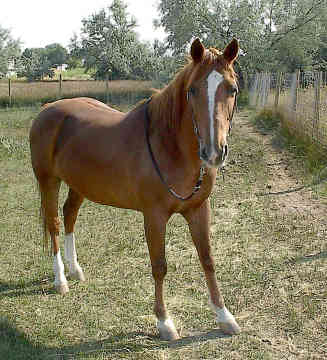 trooooo belle !!