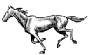 le galOoOoO