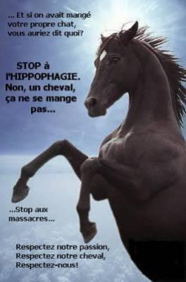 Ne maNger Pa nOtre pasSiOn !!!