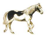 le trot